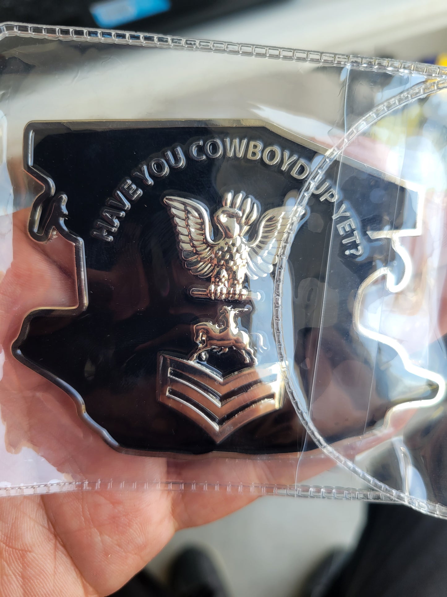 Fist Class Cowboy Soup Sandwhich coin