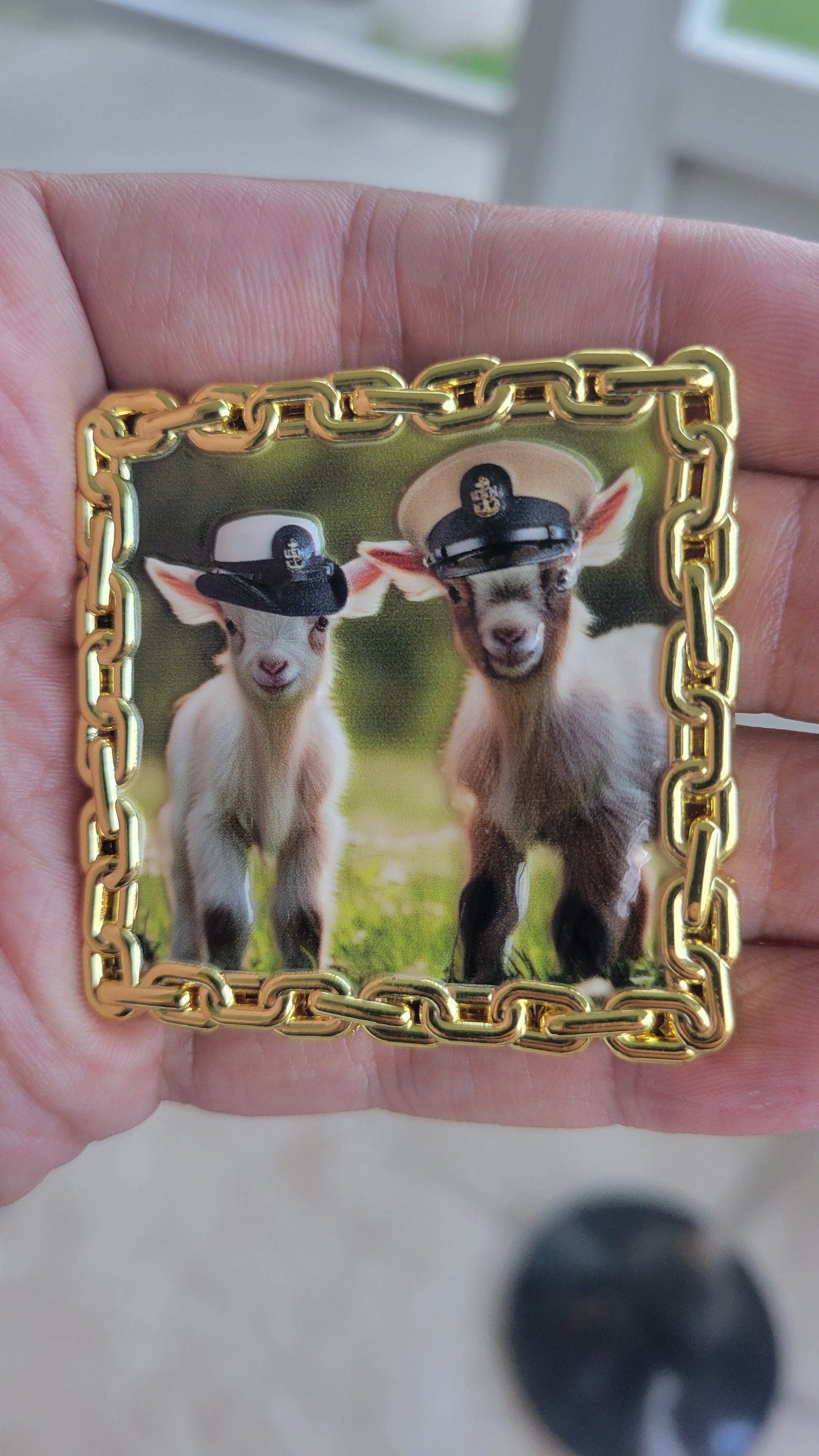 FY26 CLASS 132 BABY GOAT COIN