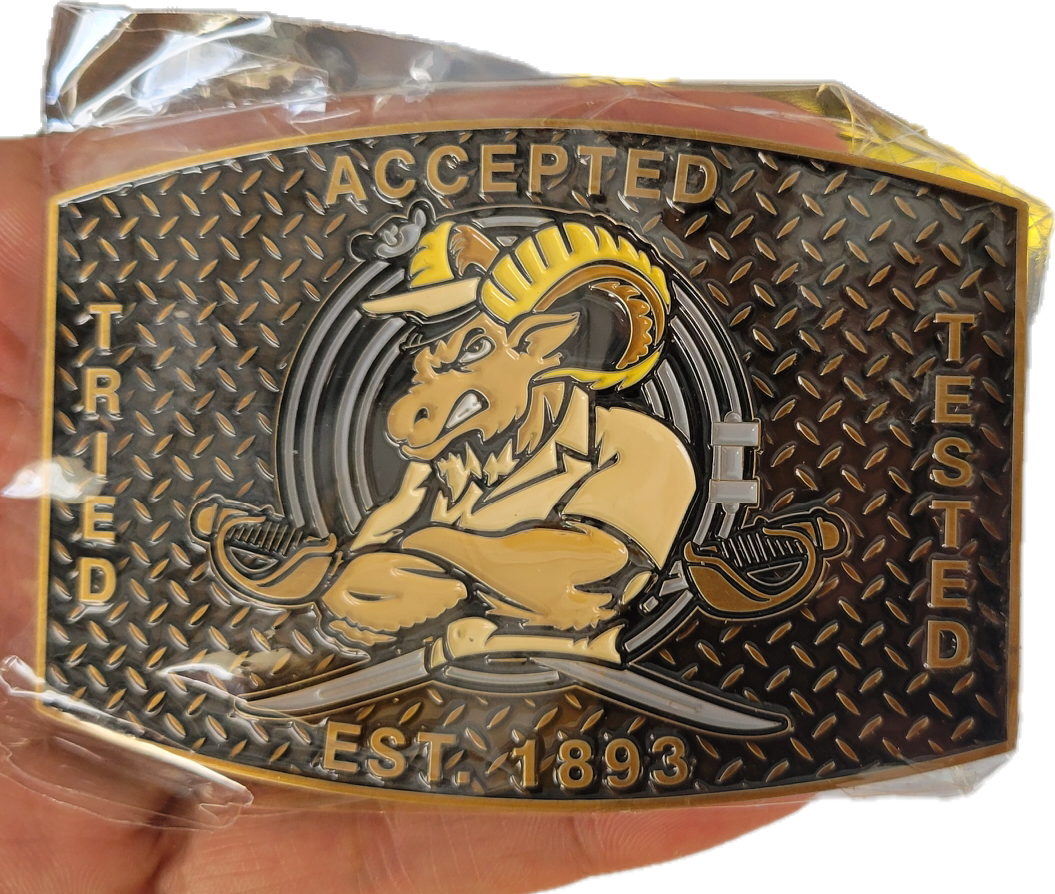 Beautiful clean buckle!!! Perfect for khakis or NWUs!!!!!