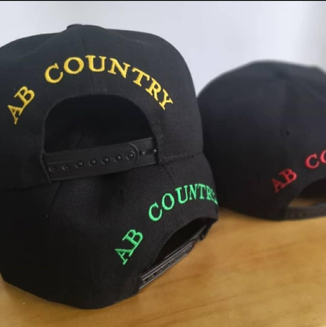 AB BEANIE / AB SNAPBACK